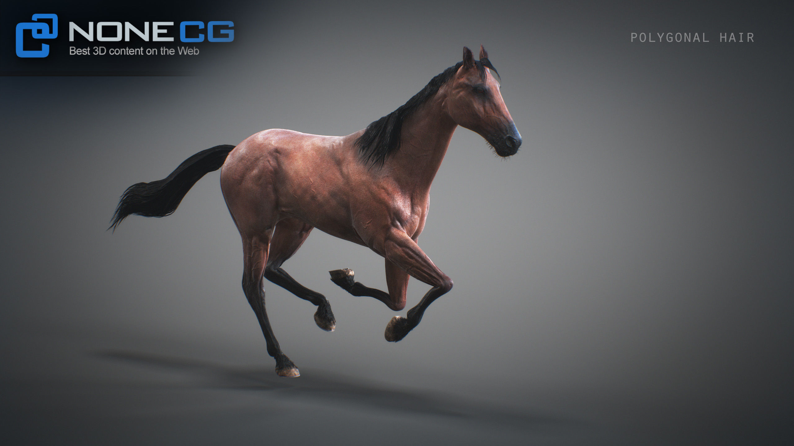 Animated Horses 3DS Max 3D model_15