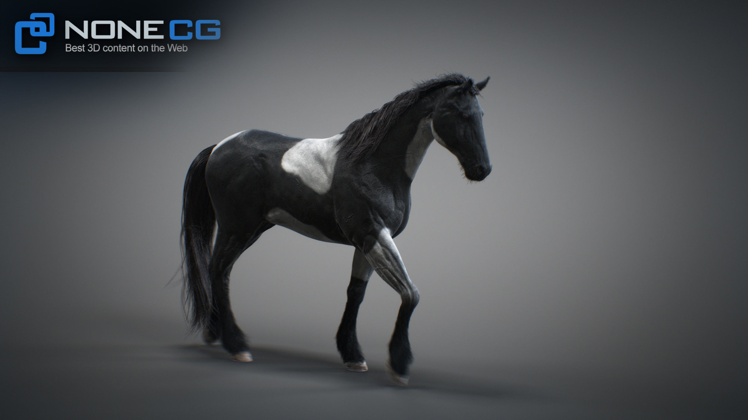 Animated Horses 3DS Max 3D model_44