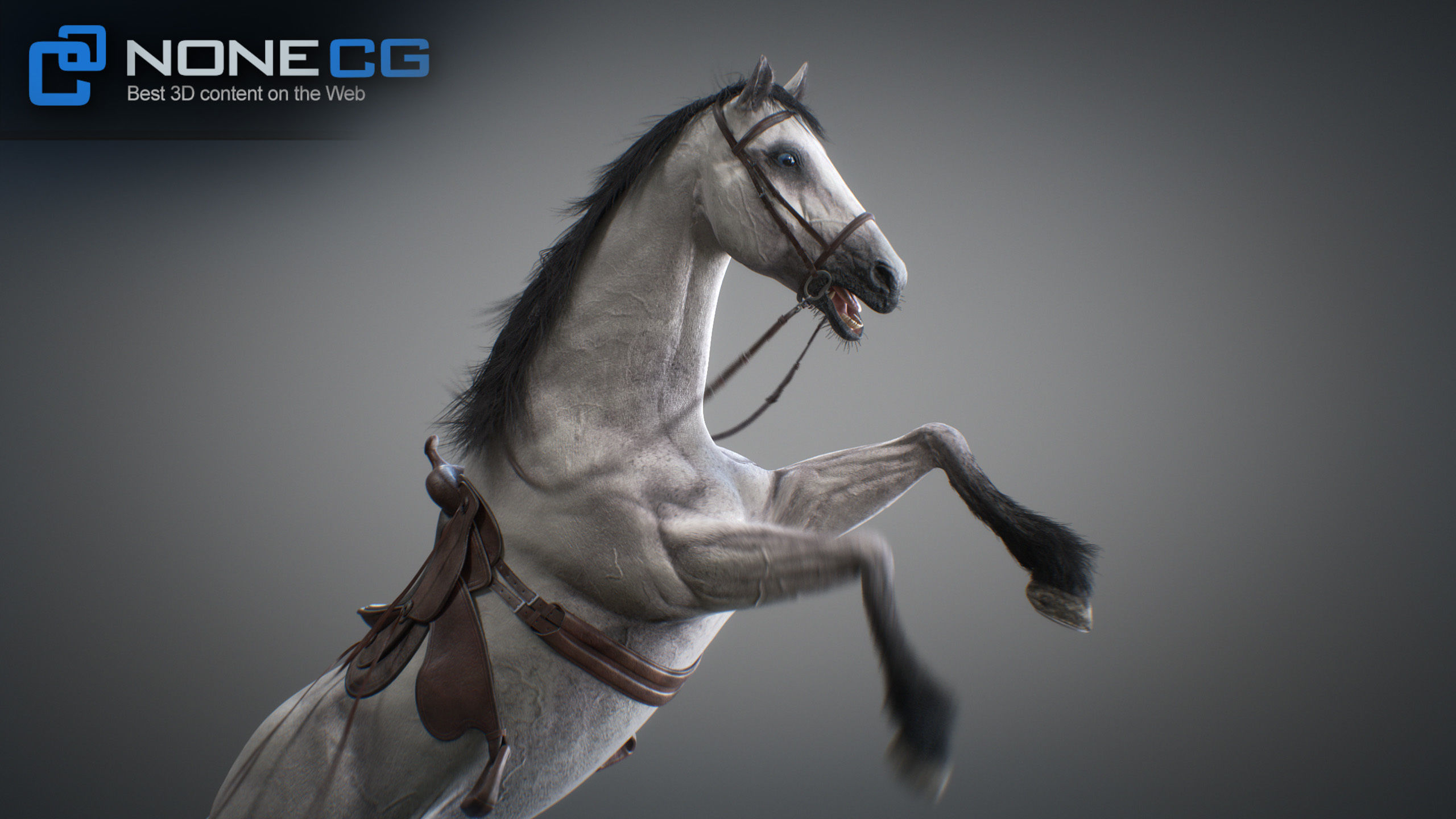 Animated Horses 3DS Max 3D model_29