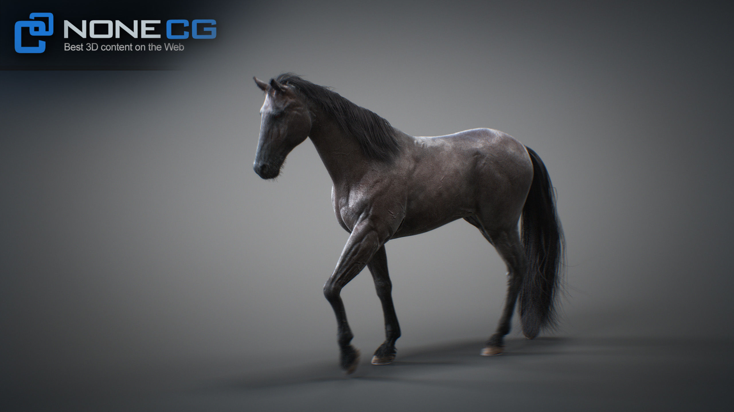 Animated Horses 3DS Max 3D model_41