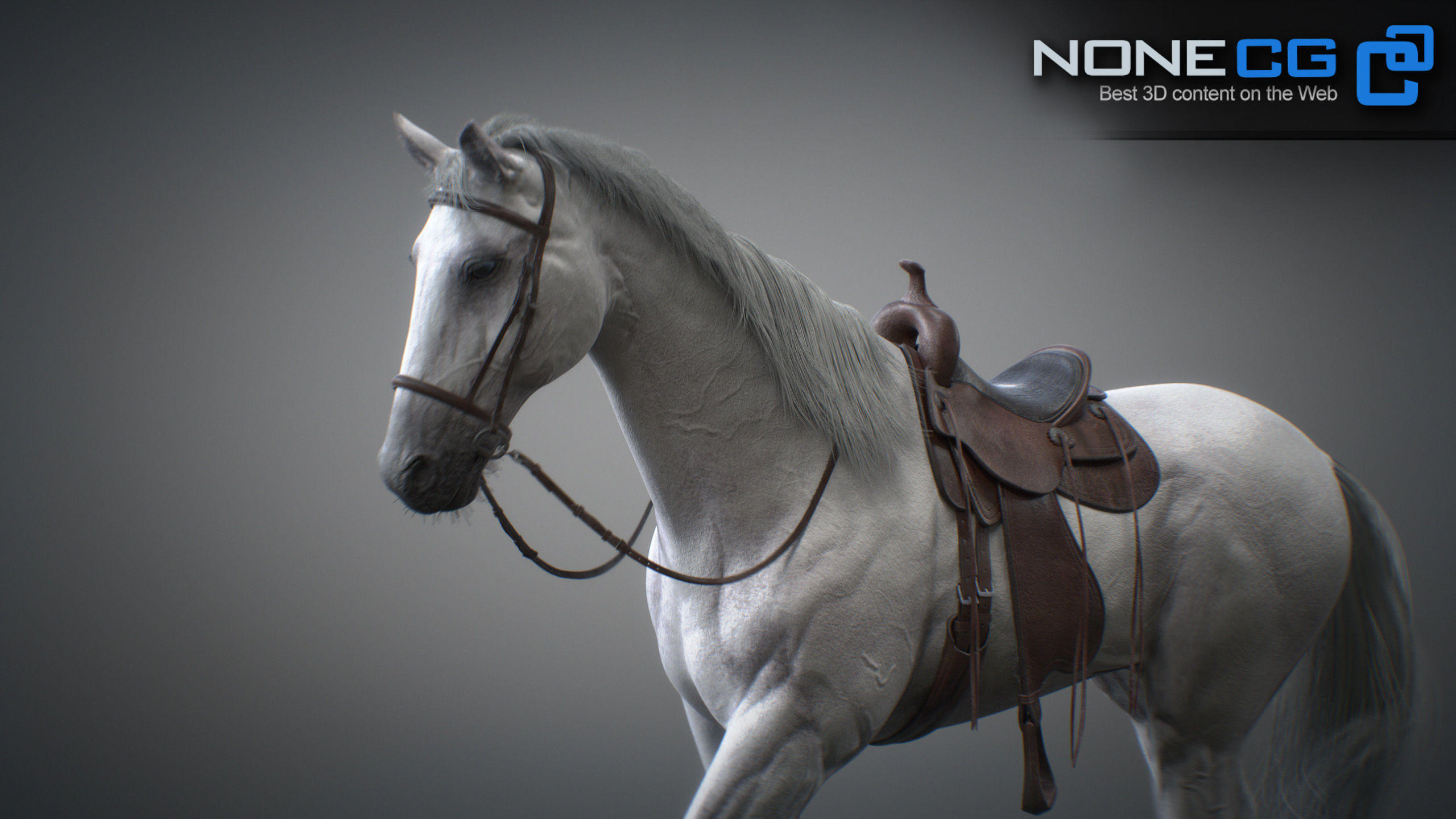 Animated Horses 3DS Max 3D model_20