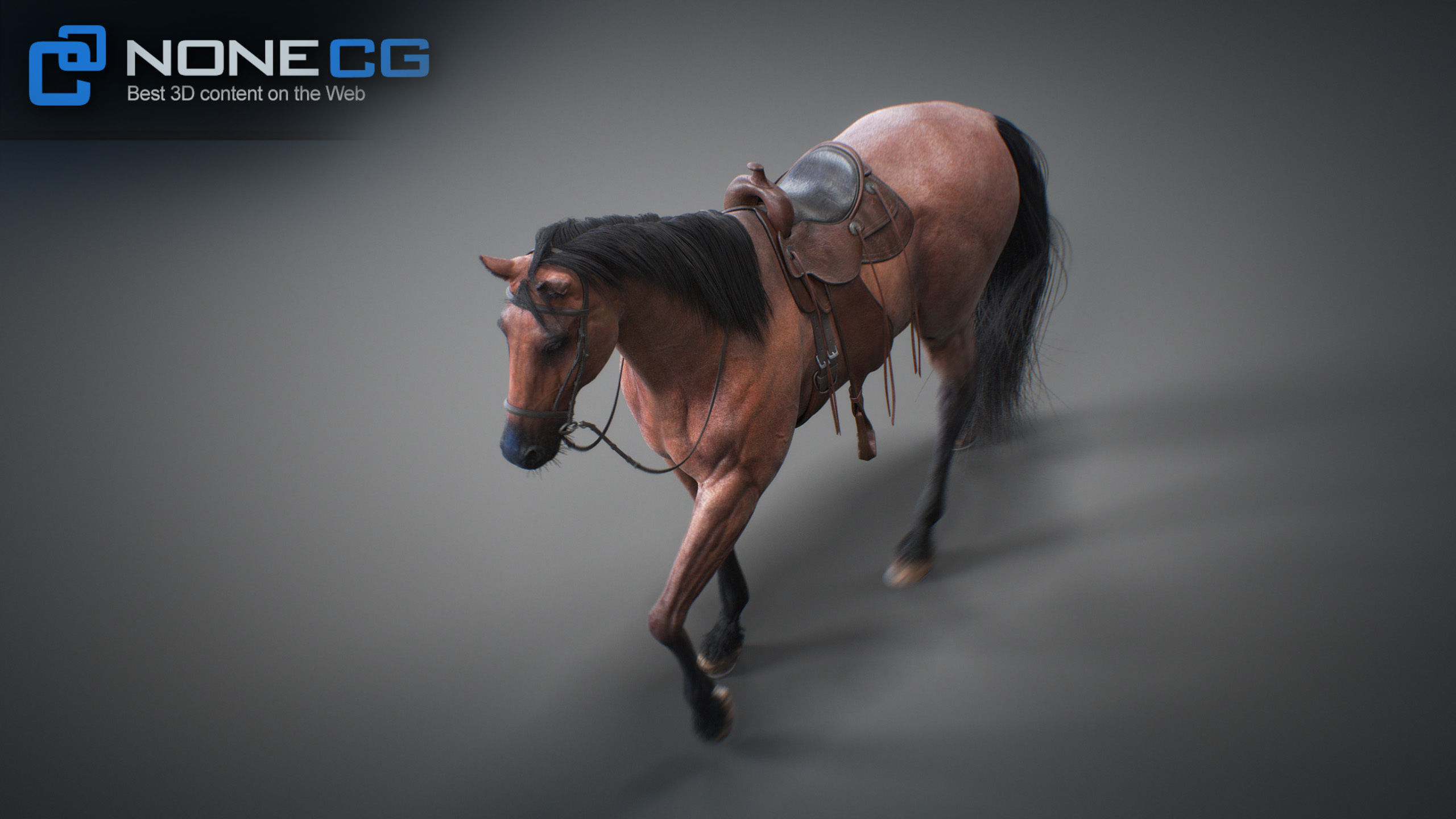 Animated Horses 3DS Max 3D model_21