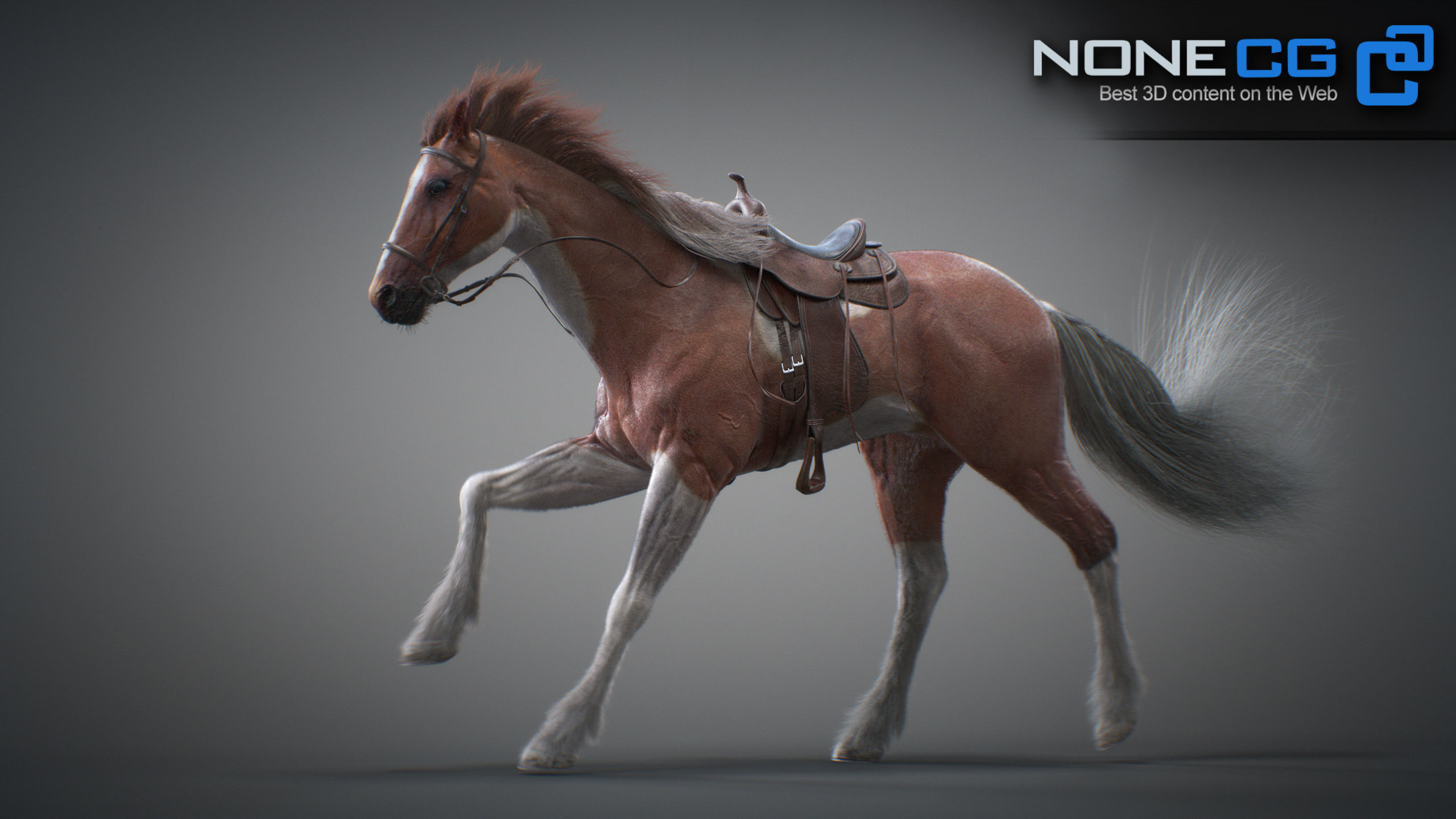 Animated Horses 3DS Max 3D model_14
