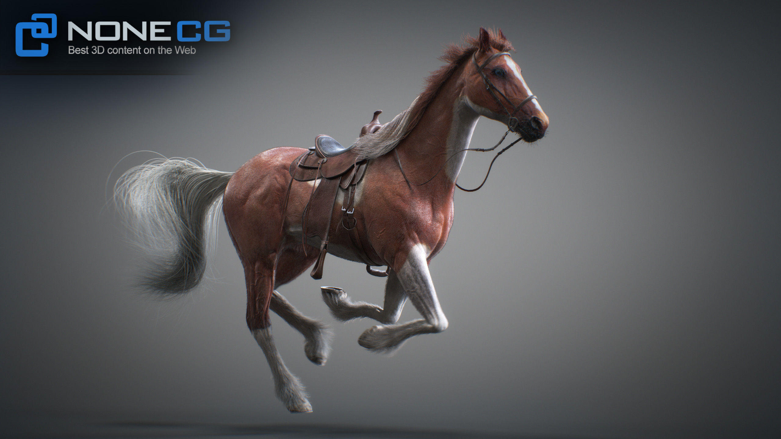 Animated Horses 3DS Max 3D model_8