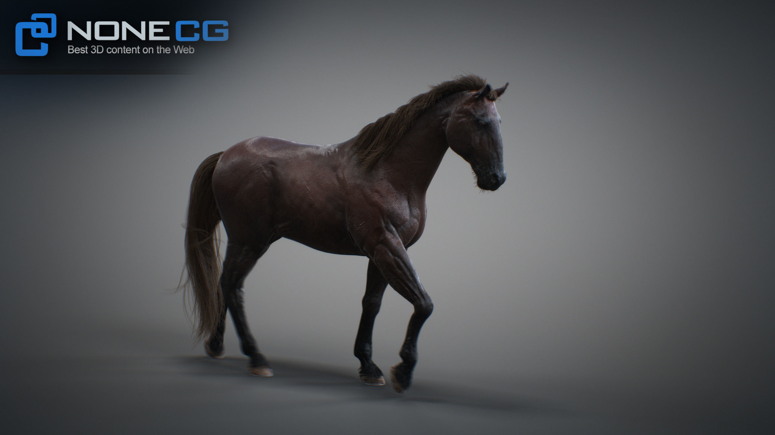 Animated Horses 3DS Max 3D model_26