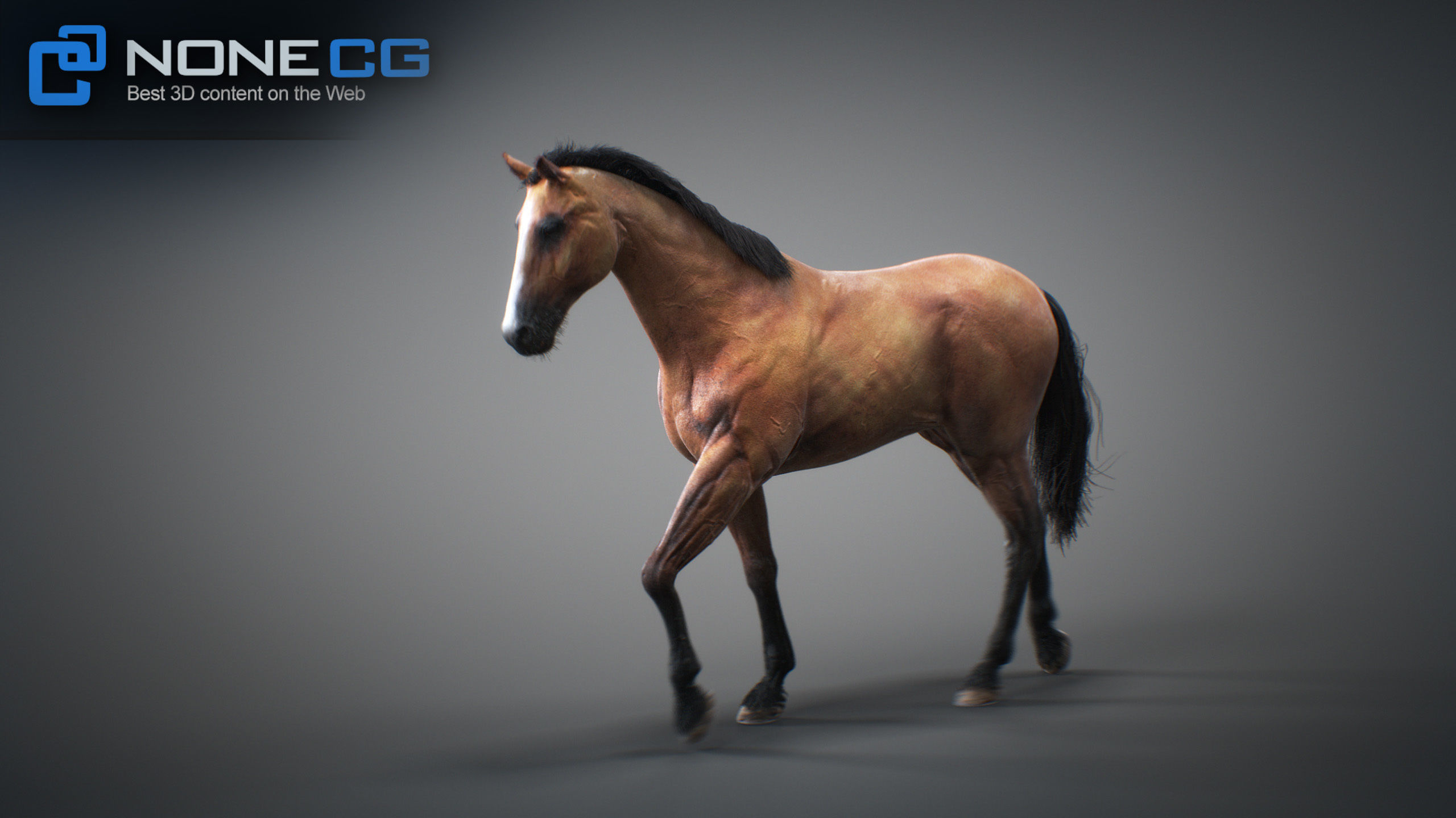 Animated Horses 3DS Max 3D model_23