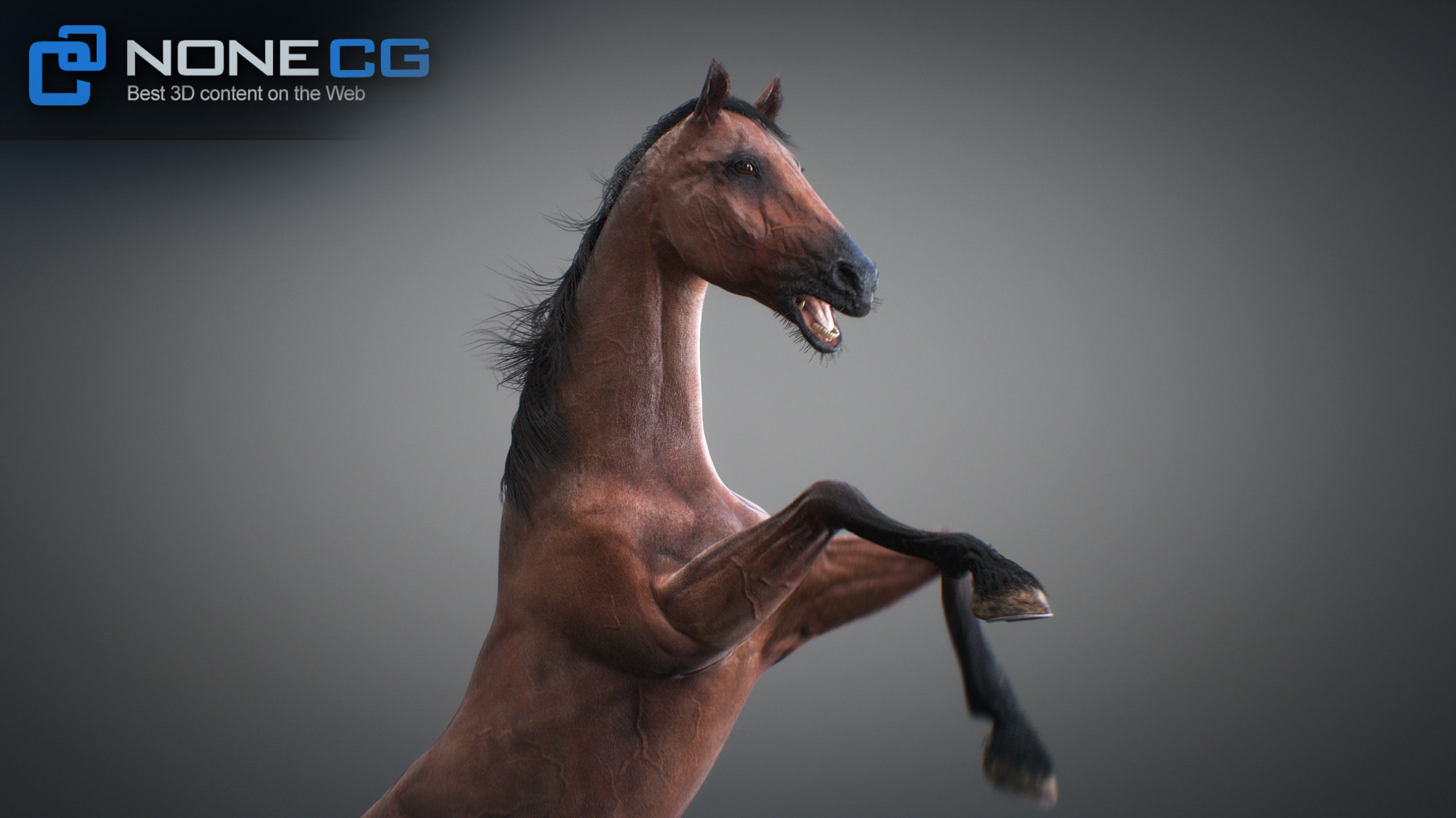 Animated Horses 3DS Max 3D model_13