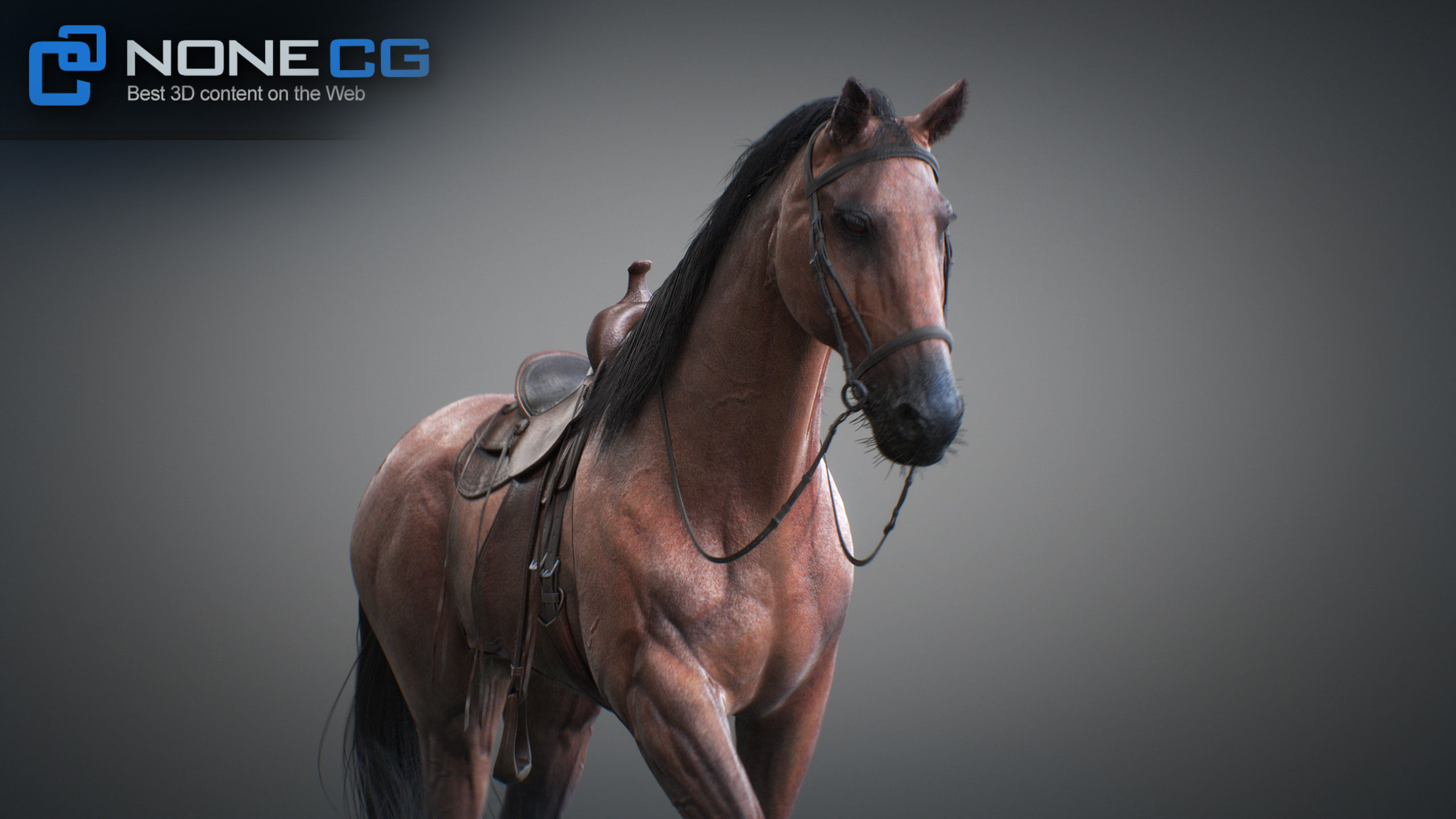 Animated Horses 3DS Max 3D model_6