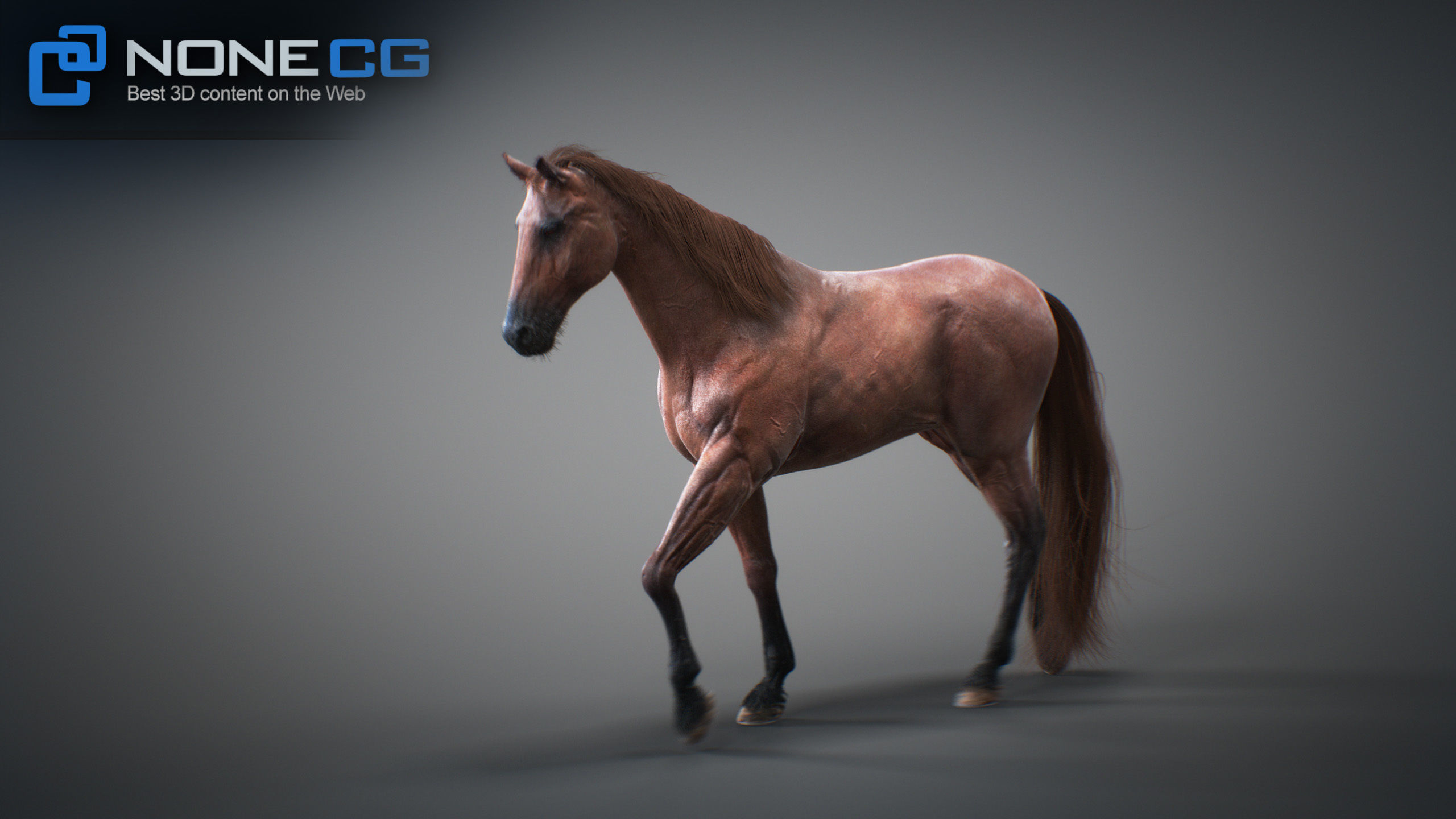 Animated Horses 3DS Max 3D model_37