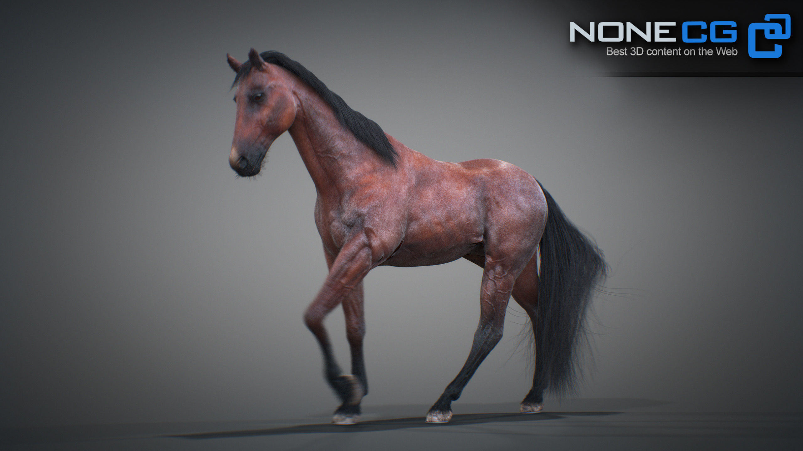 Animated Horses 3DS Max 3D model_51