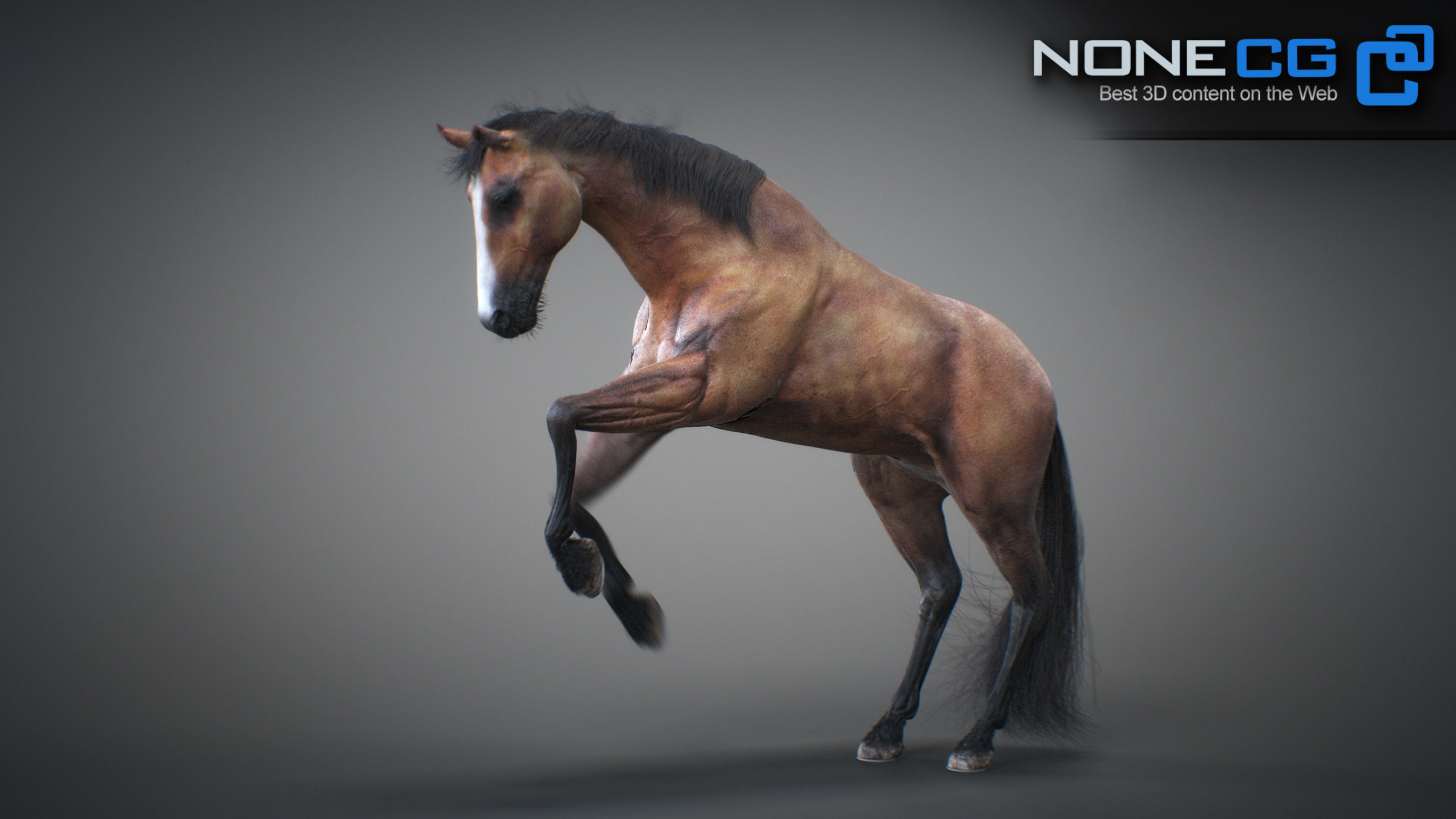 Animated Horses 3DS Max 3D model_49
