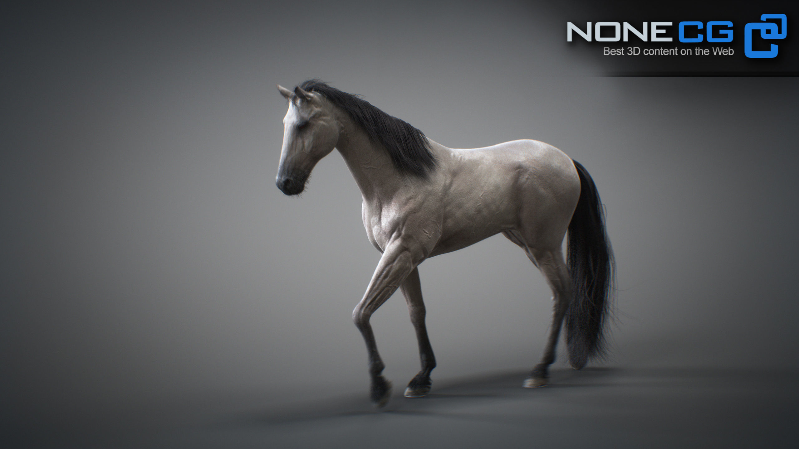 Animated Horses 3DS Max 3D model_47