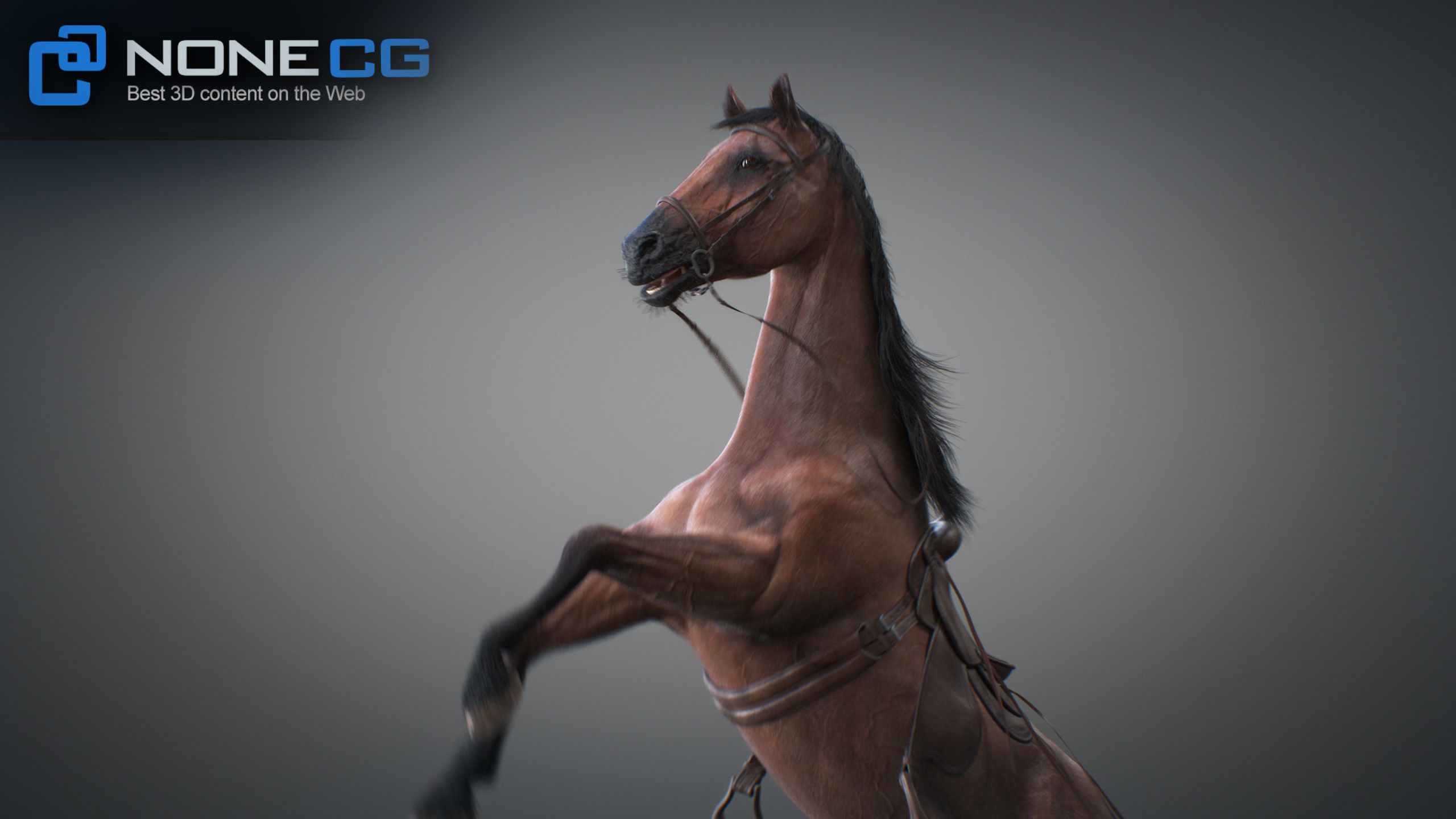 Animated Horses 3DS Max 3D model_27
