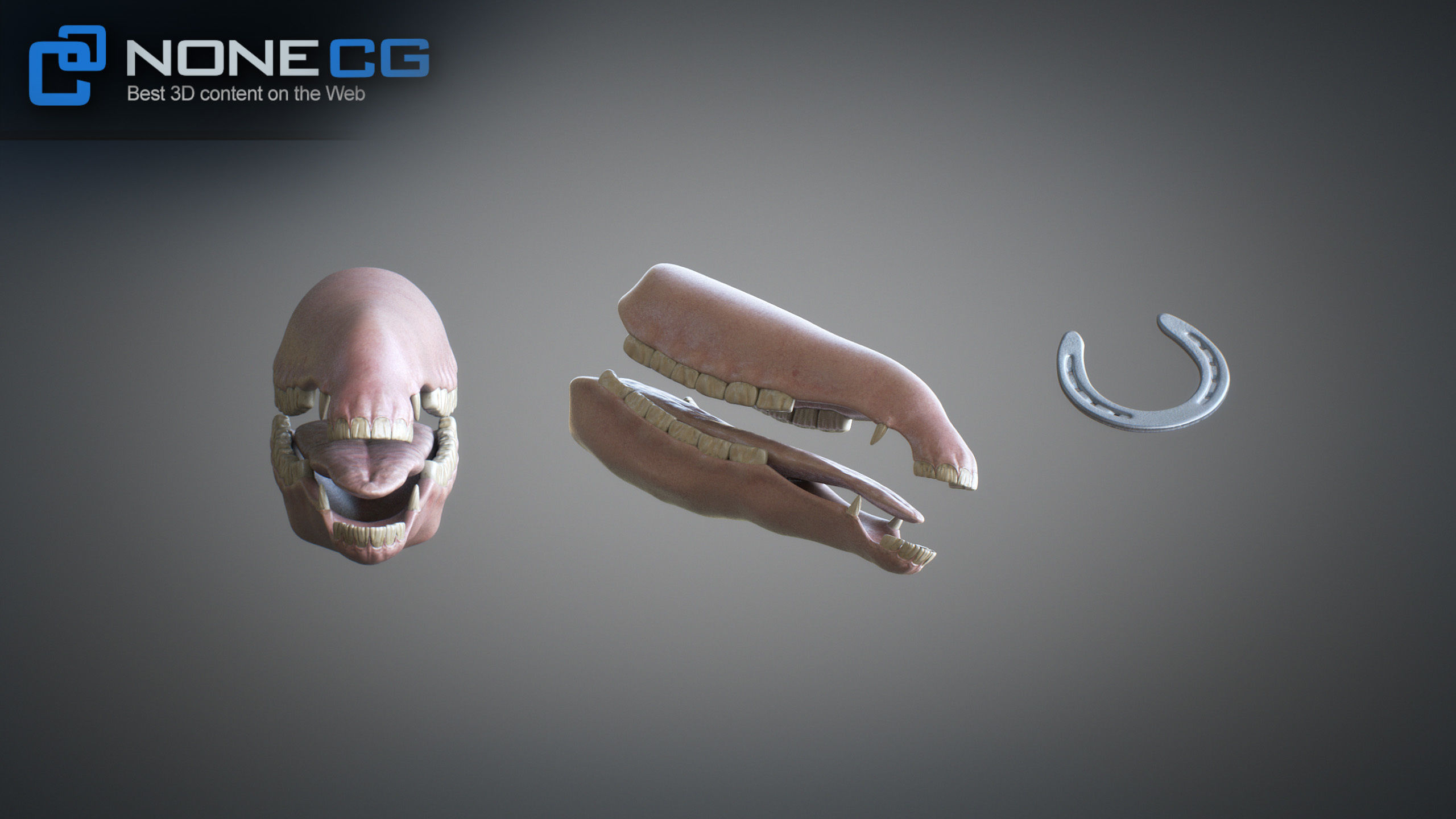 Animated Horses 3DS Max 3D model_52