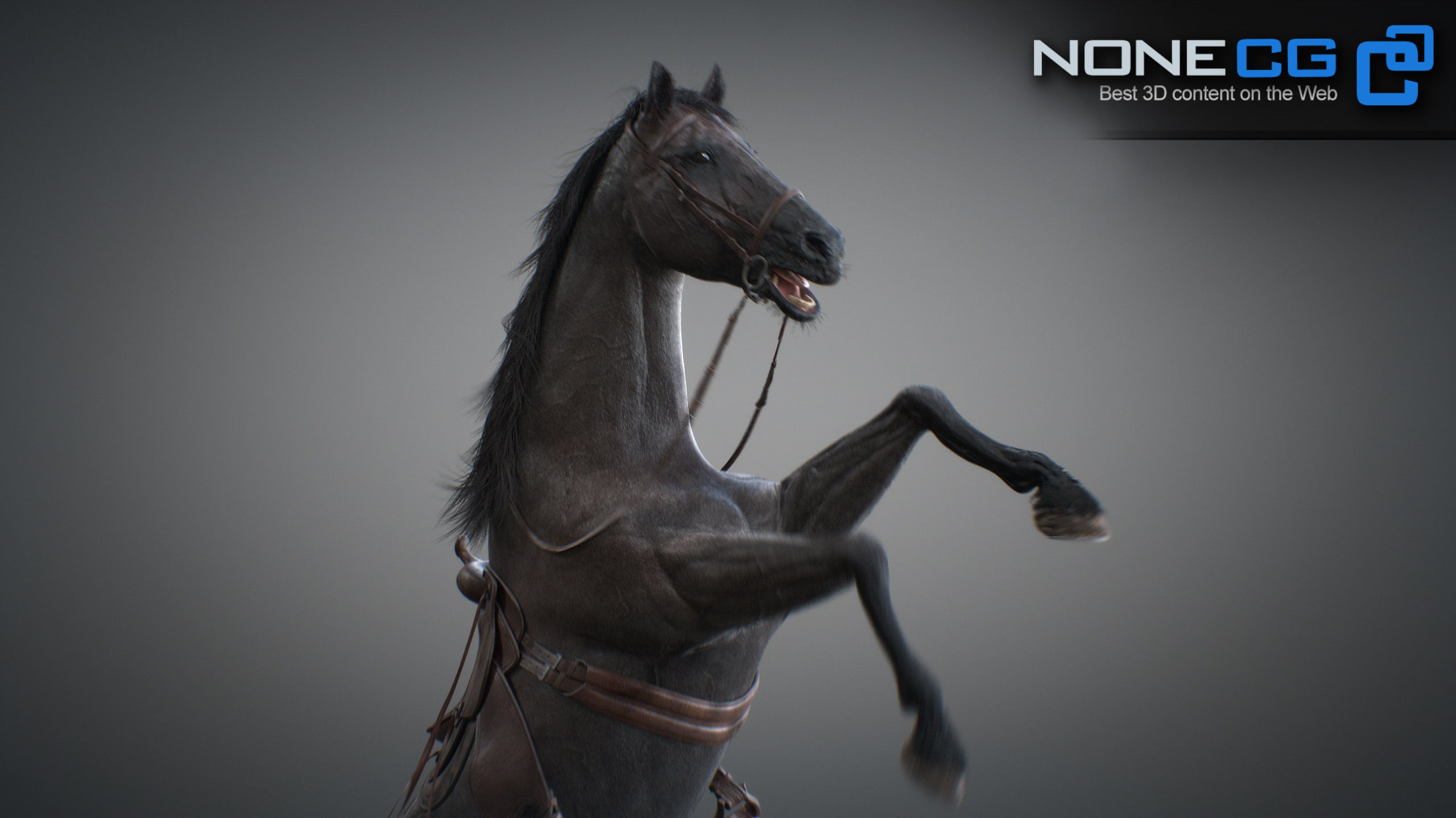 Animated Horses 3DS Max 3D model_31