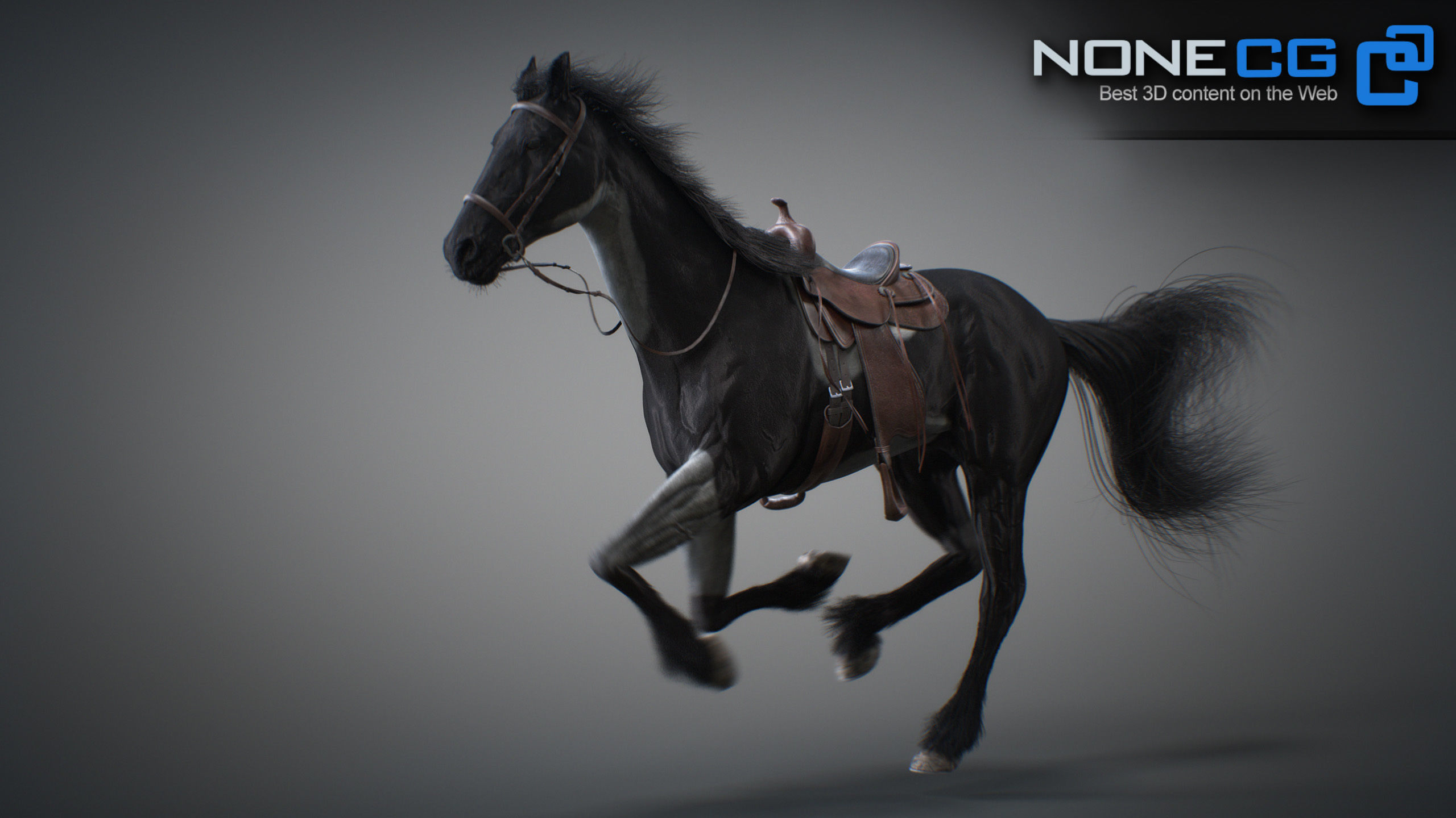 Animated Horses 3DS Max 3D model_30
