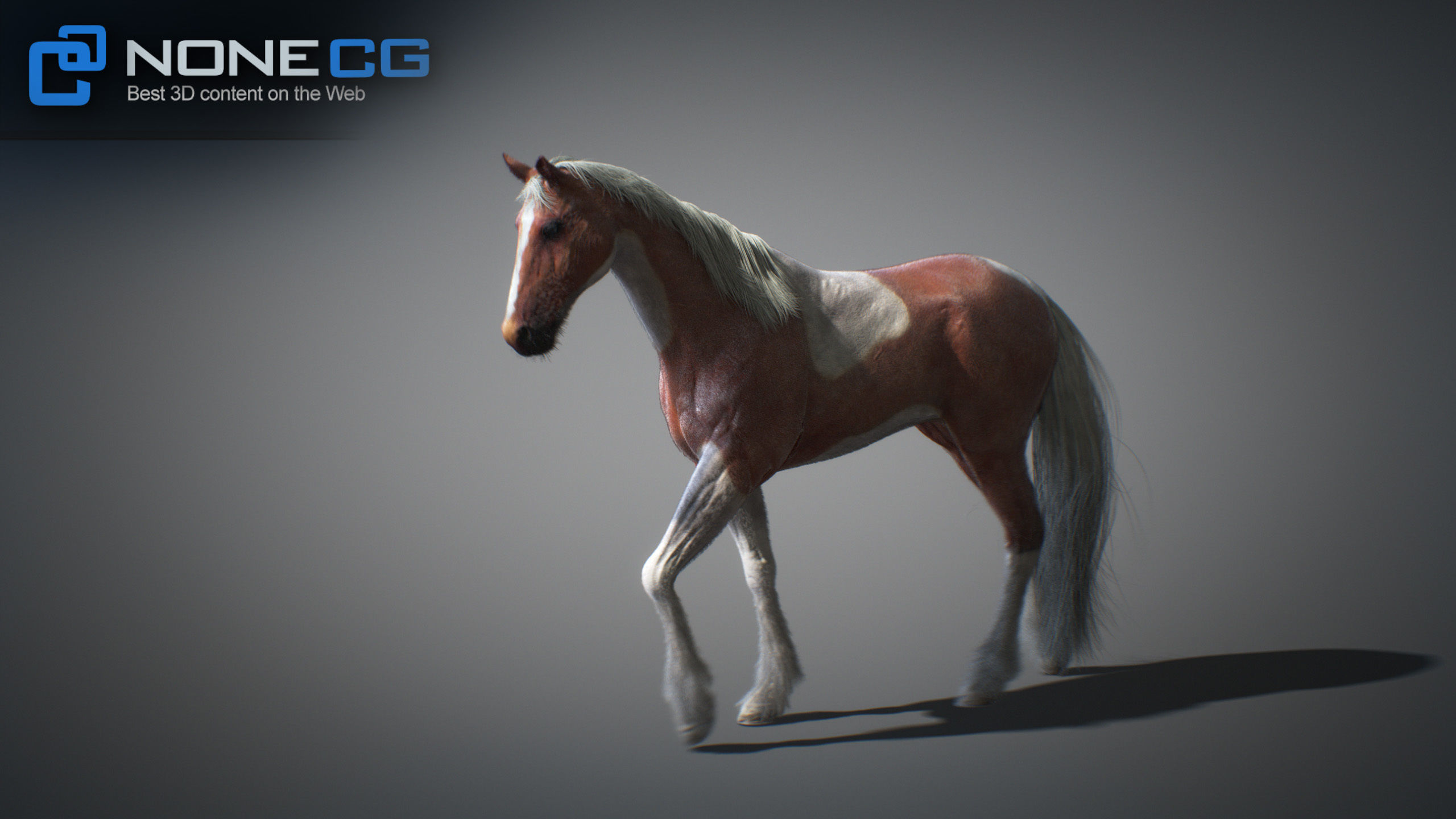 Animated Horses 3DS Max 3D model_33