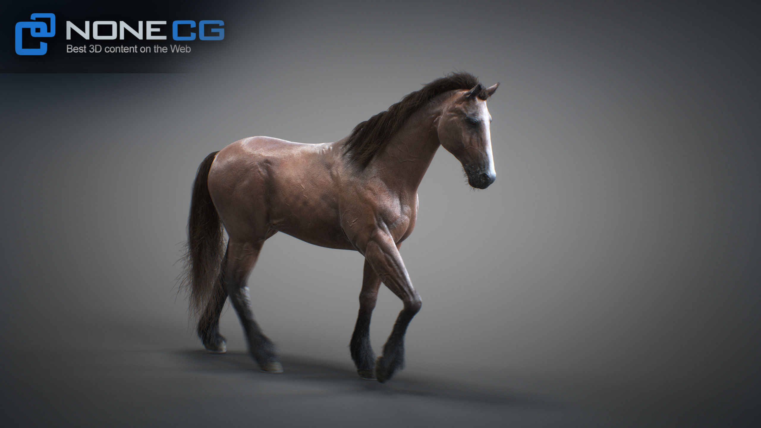 Animated Horses 3DS Max 3D model_42