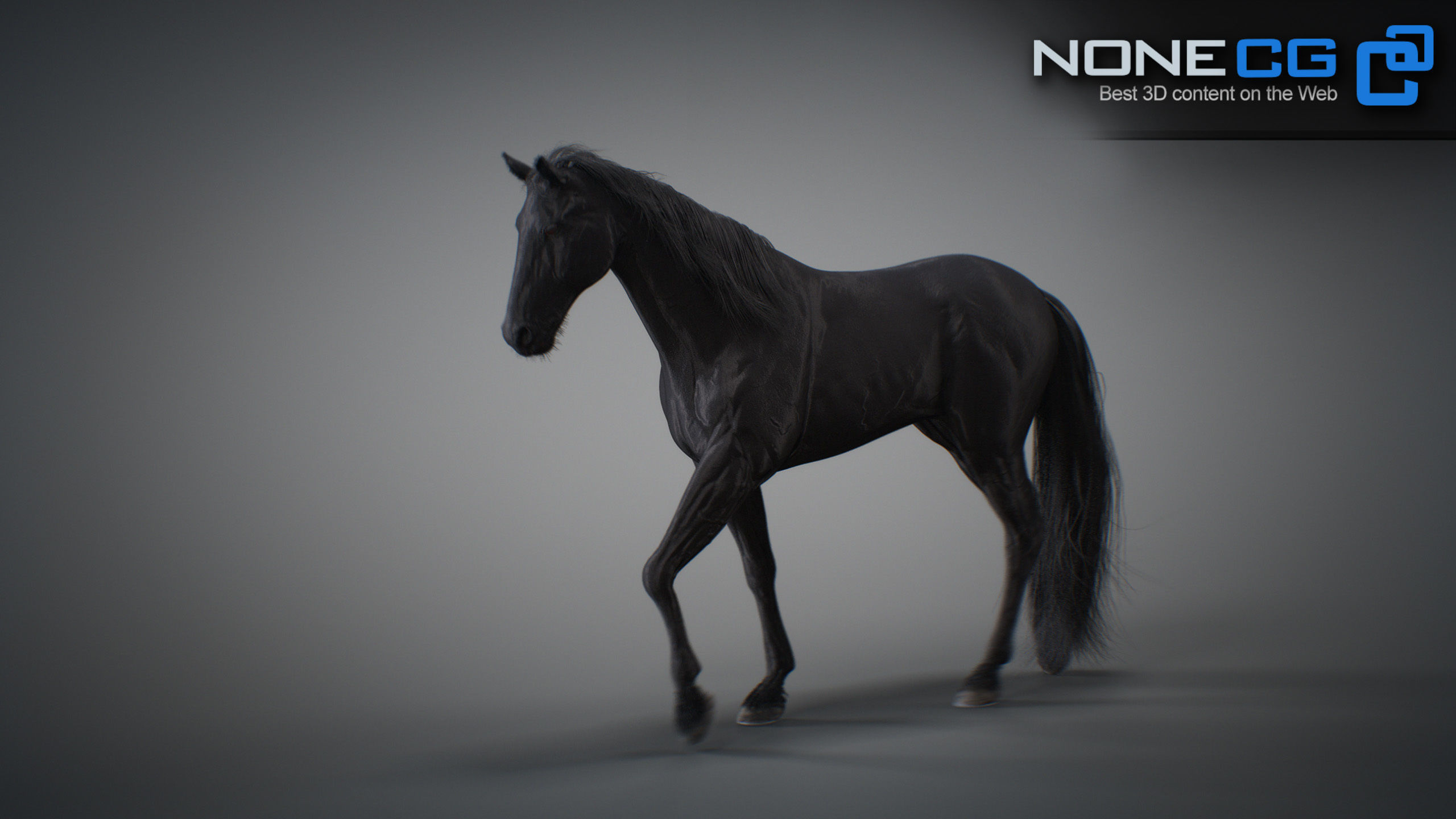 Animated Horses 3DS Max 3D model_9