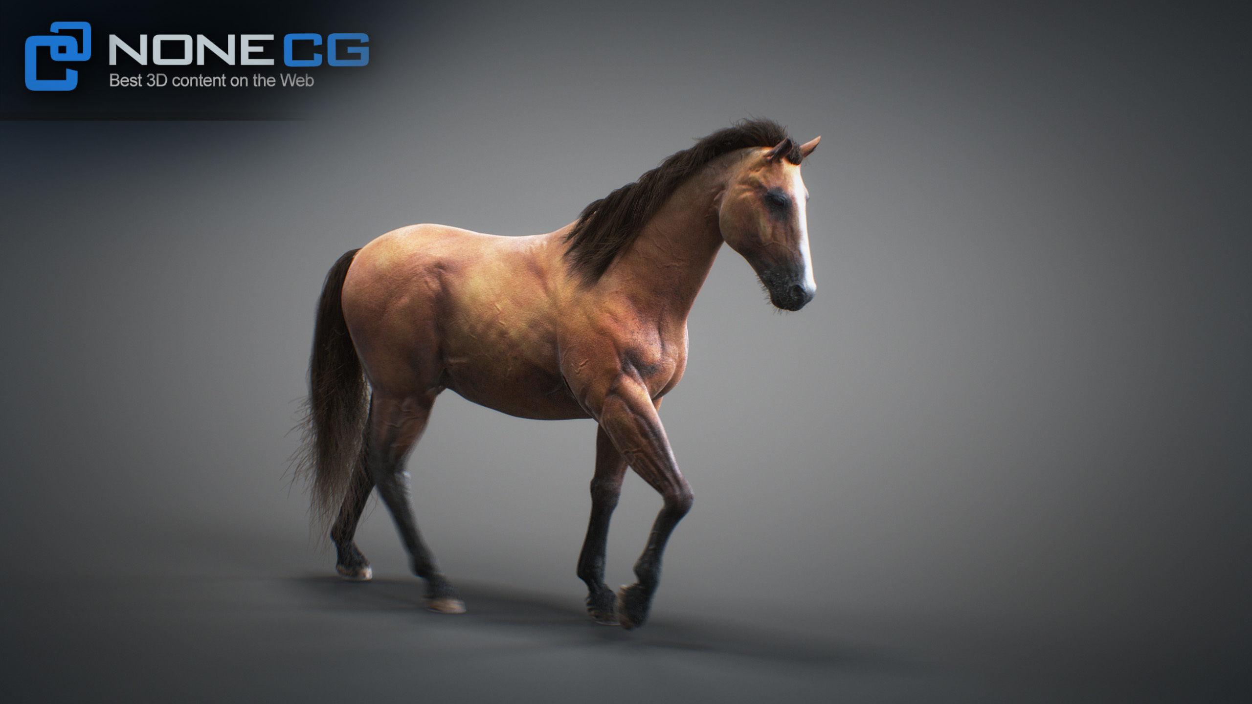 Animated Horses 3DS Max 3D model_40