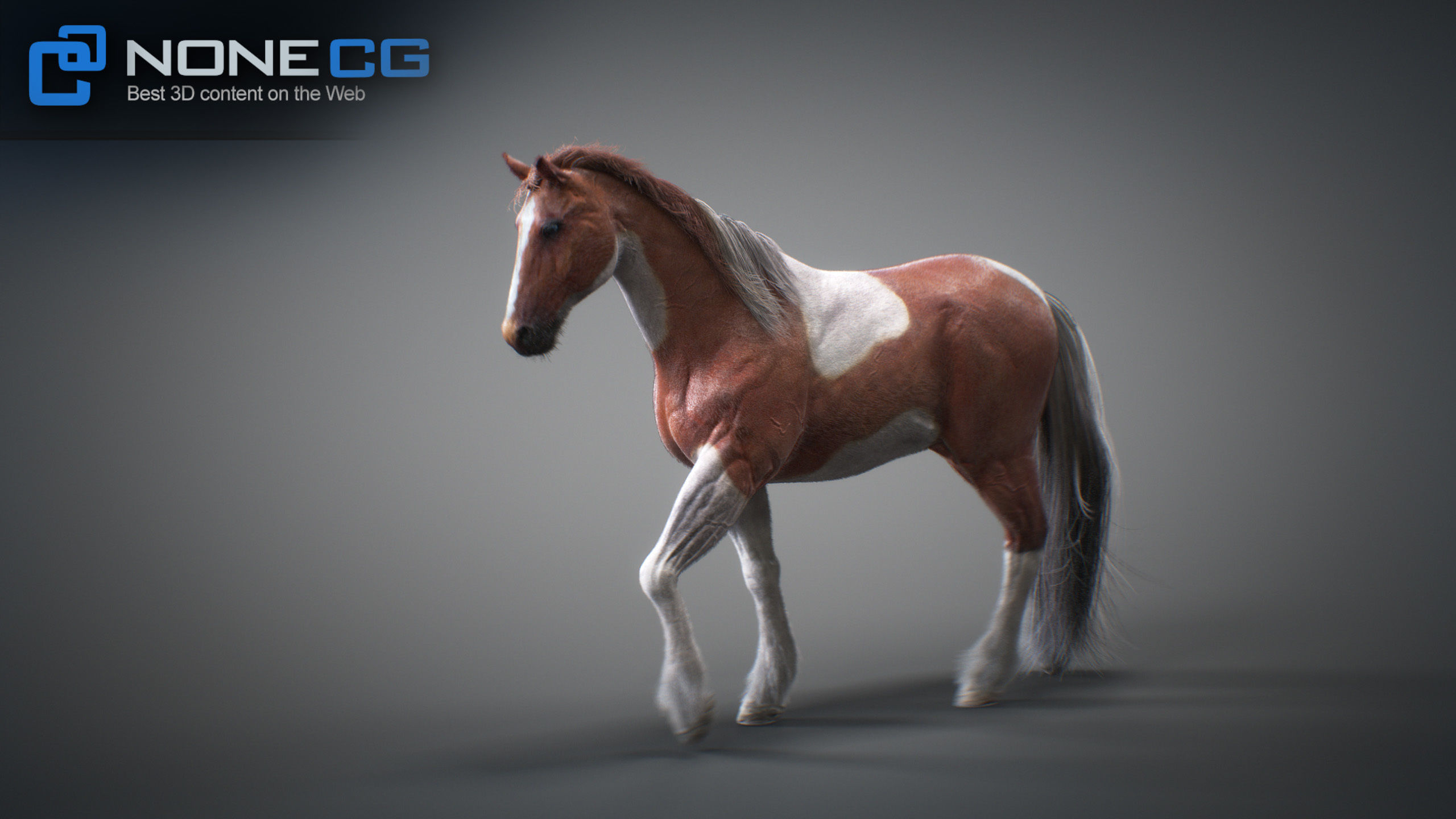 Animated Horses 3DS Max 3D model_35