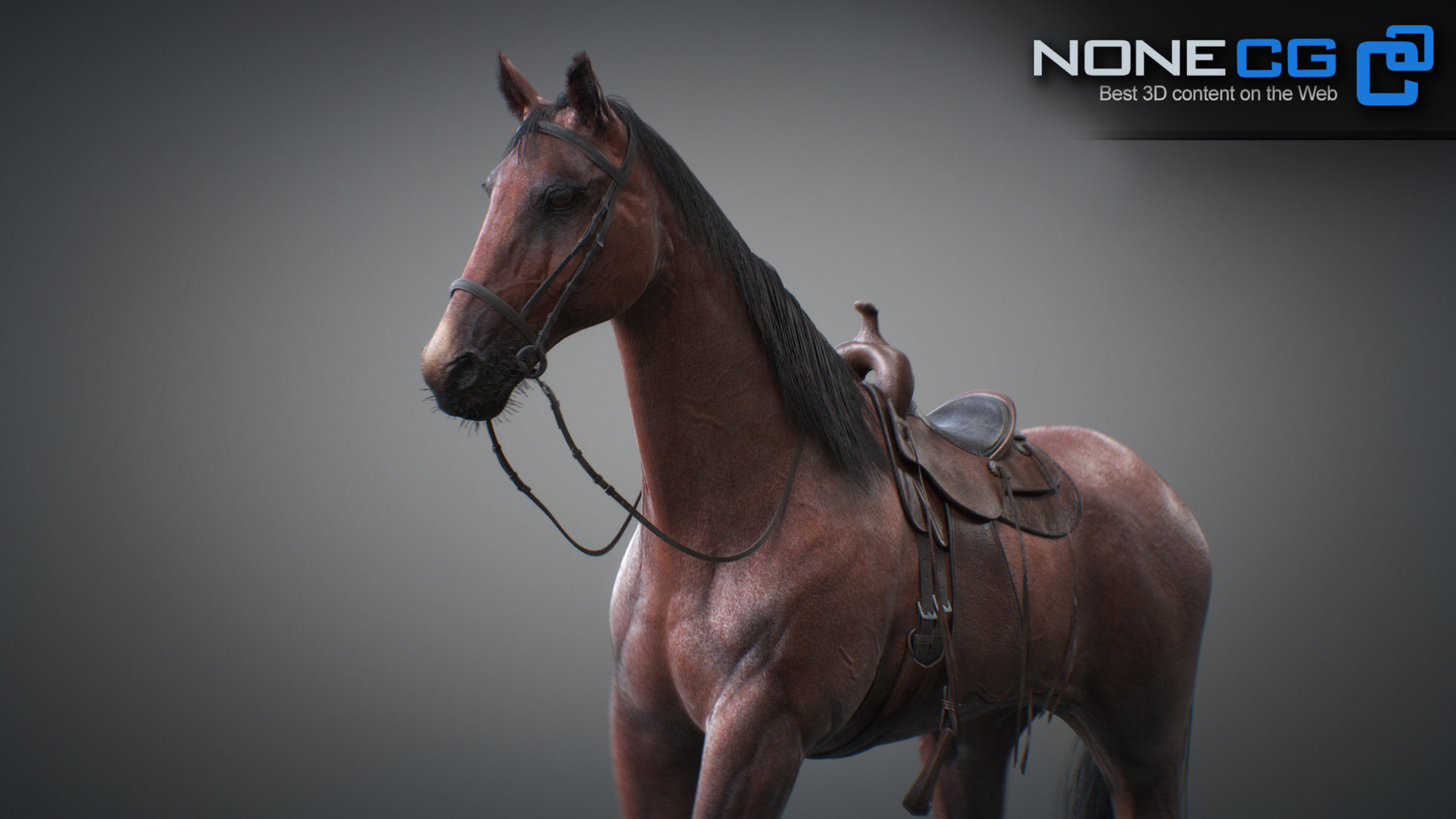 Animated Horses 3DS Max 3D model_10
