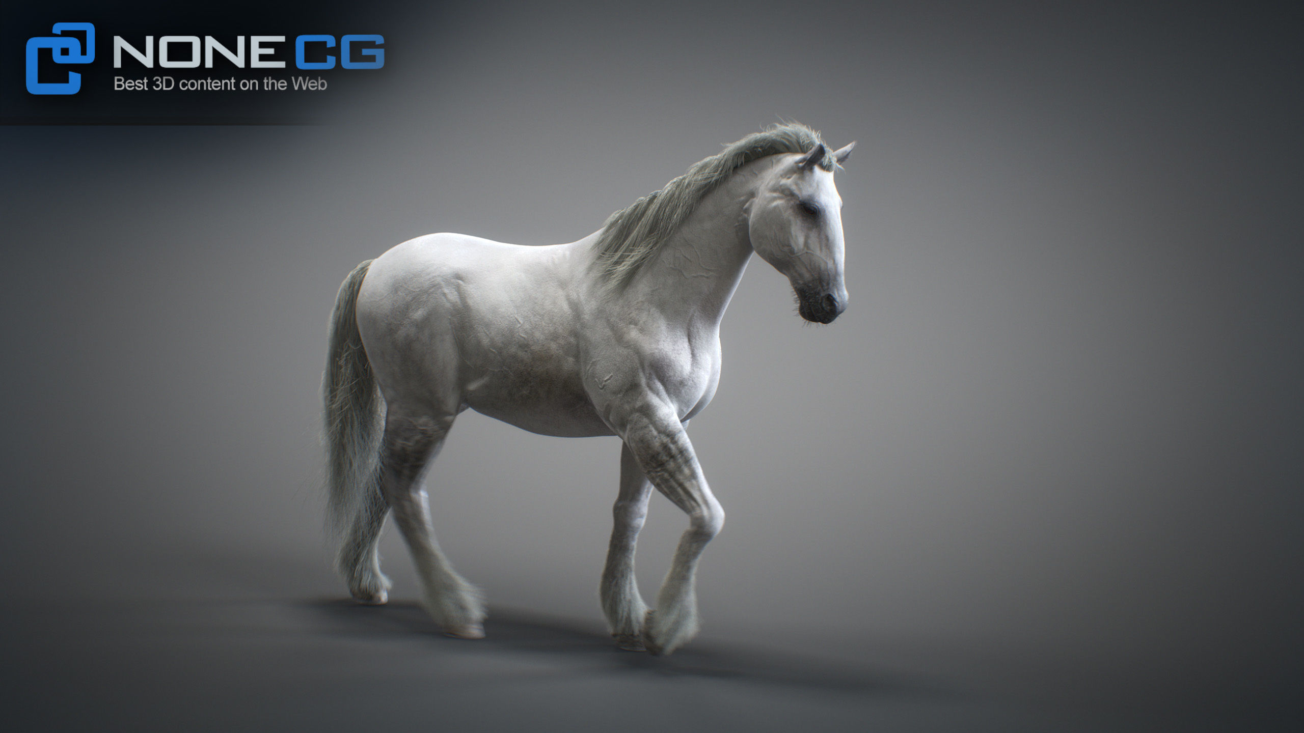 Animated Horses 3DS Max 3D model_22