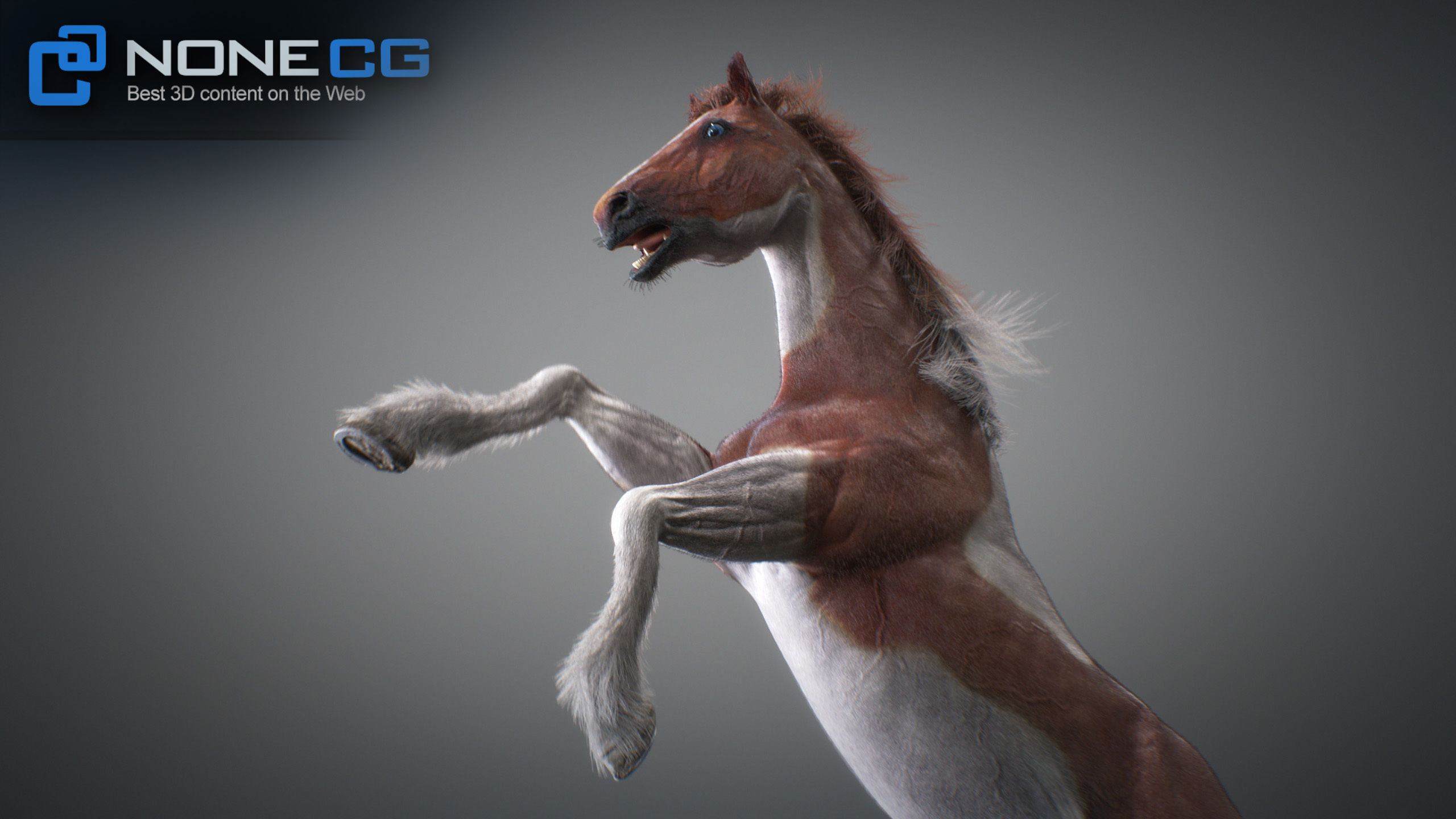 Animated Horses 3DS Max 3D model_5