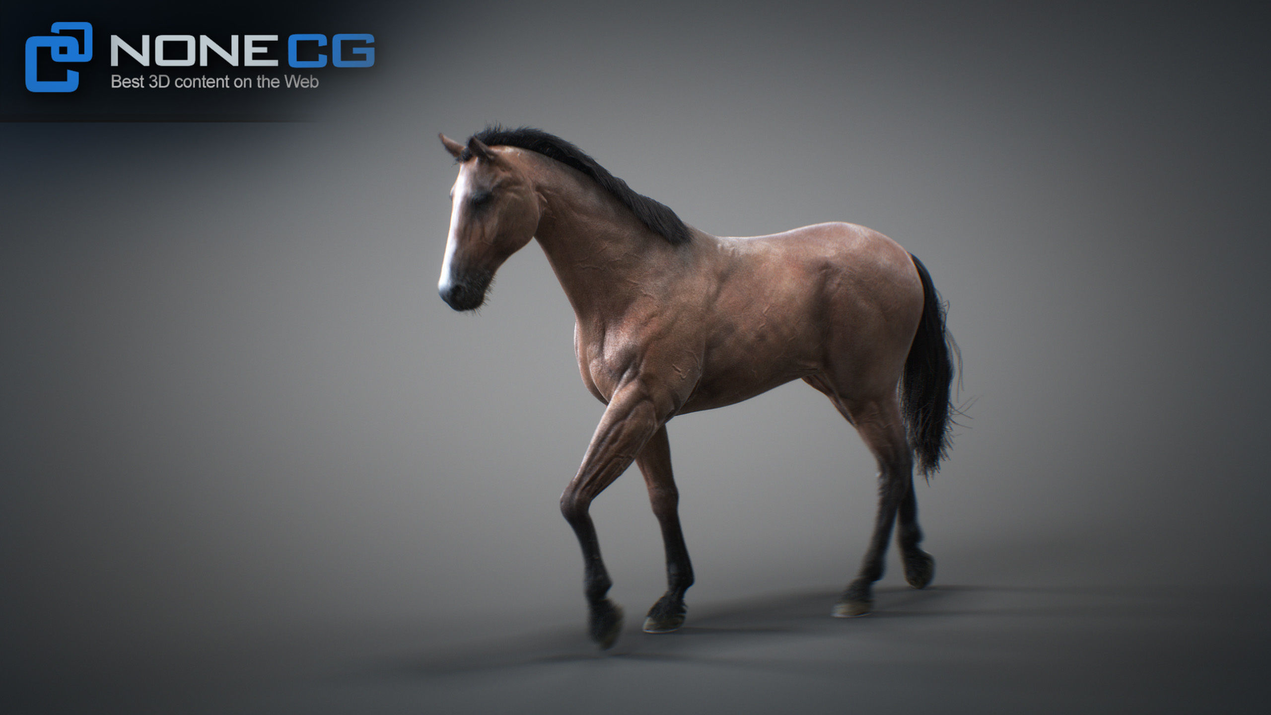Animated Horses 3DS Max 3D model_39