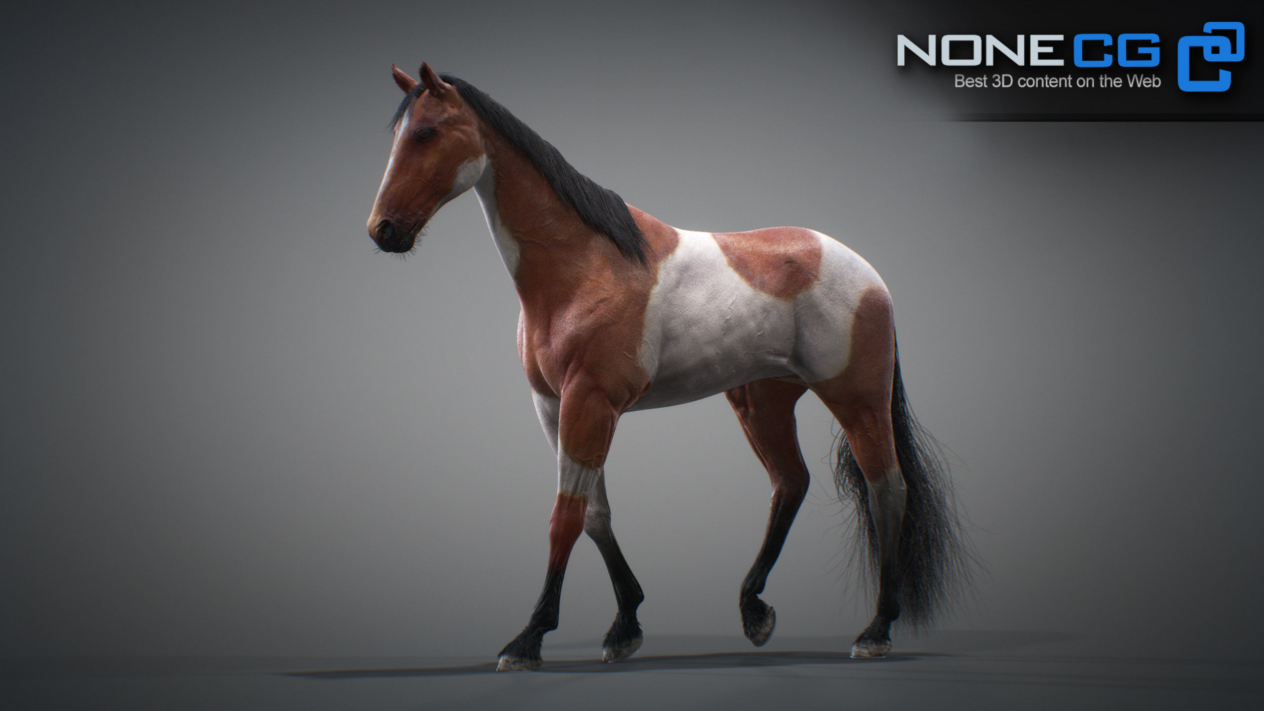 Animated Horses 3DS Max 3D model_25
