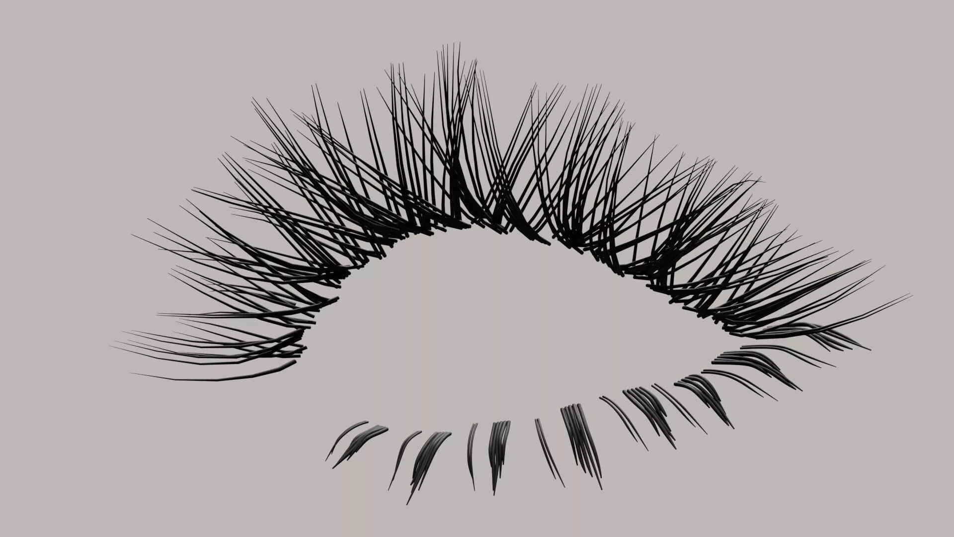 False Eyelashes Beauty Eye Makeup Free 3D model