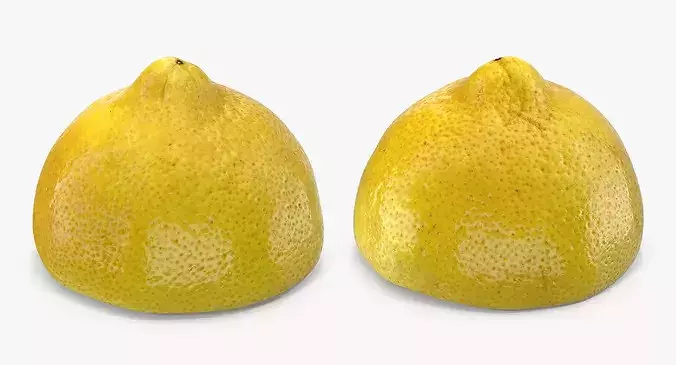 Sliced Lemon Half 3D model 5