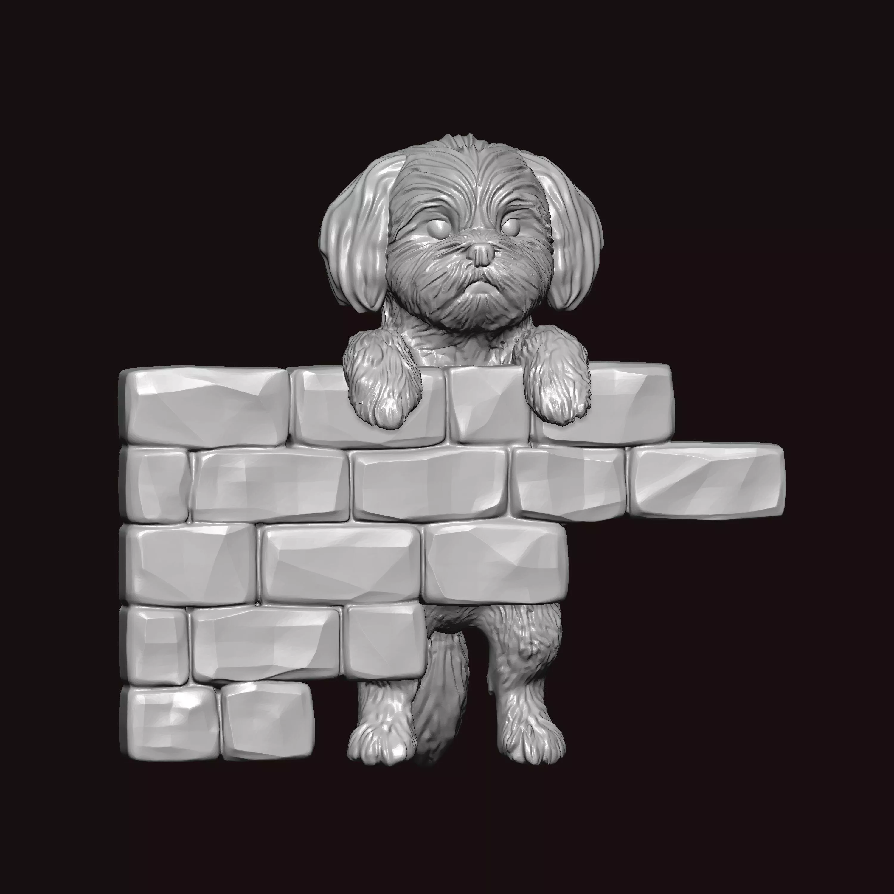 Maltese Dog Peeking 3D print model