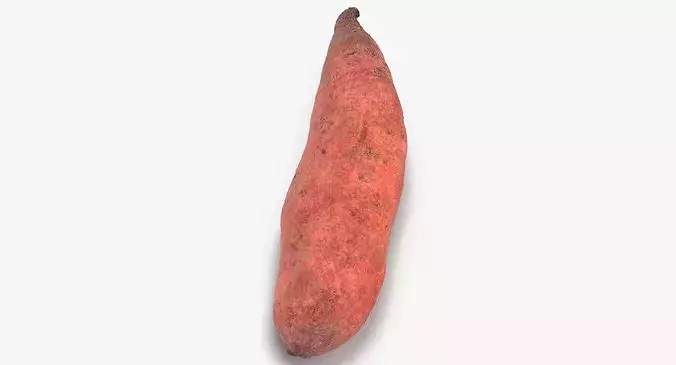 Sweet Potato 01 3D model 6