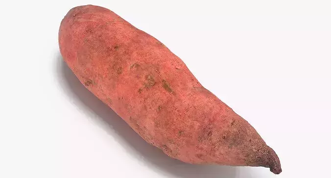 Sweet Potato 01 3D model 7