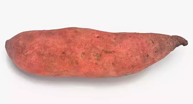Sweet Potato 01 3D model 5
