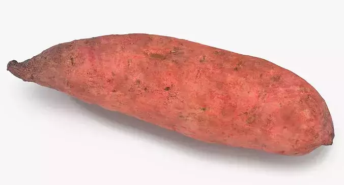 Sweet Potato 01 3D model 3