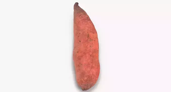 Sweet Potato 01 3D model 4