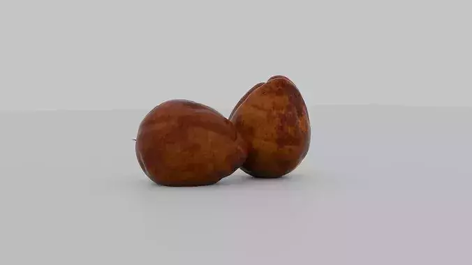 Realistic Avocado Seed 3D model 6