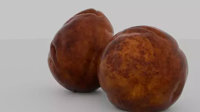 Realistic Avocado Seed 3D model 5