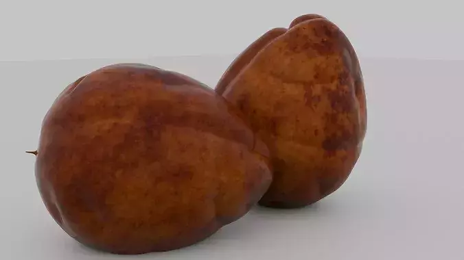Realistic Avocado Seed 3D model 2