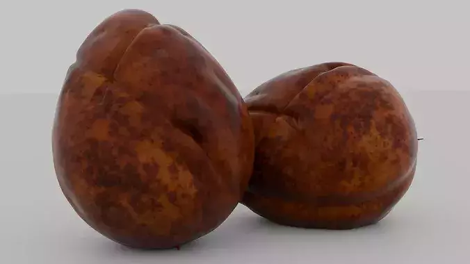Realistic Avocado Seed 3D model 4