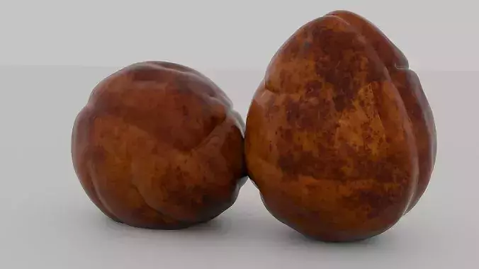 Realistic Avocado Seed 3D model