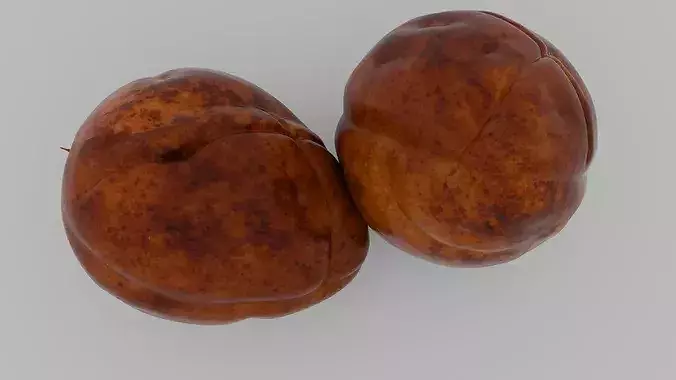 Realistic Avocado Seed 3D model 3