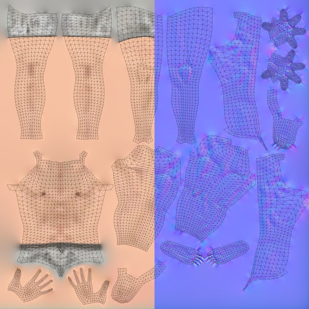 Human Character Base Pack Low-poly 3D model_23