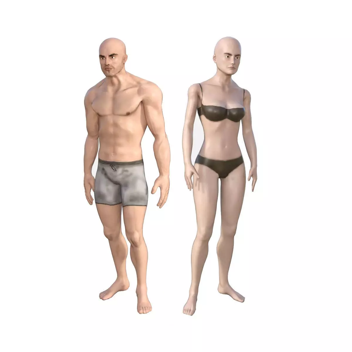 Human Character Base Pack Low-poly 3D model_0