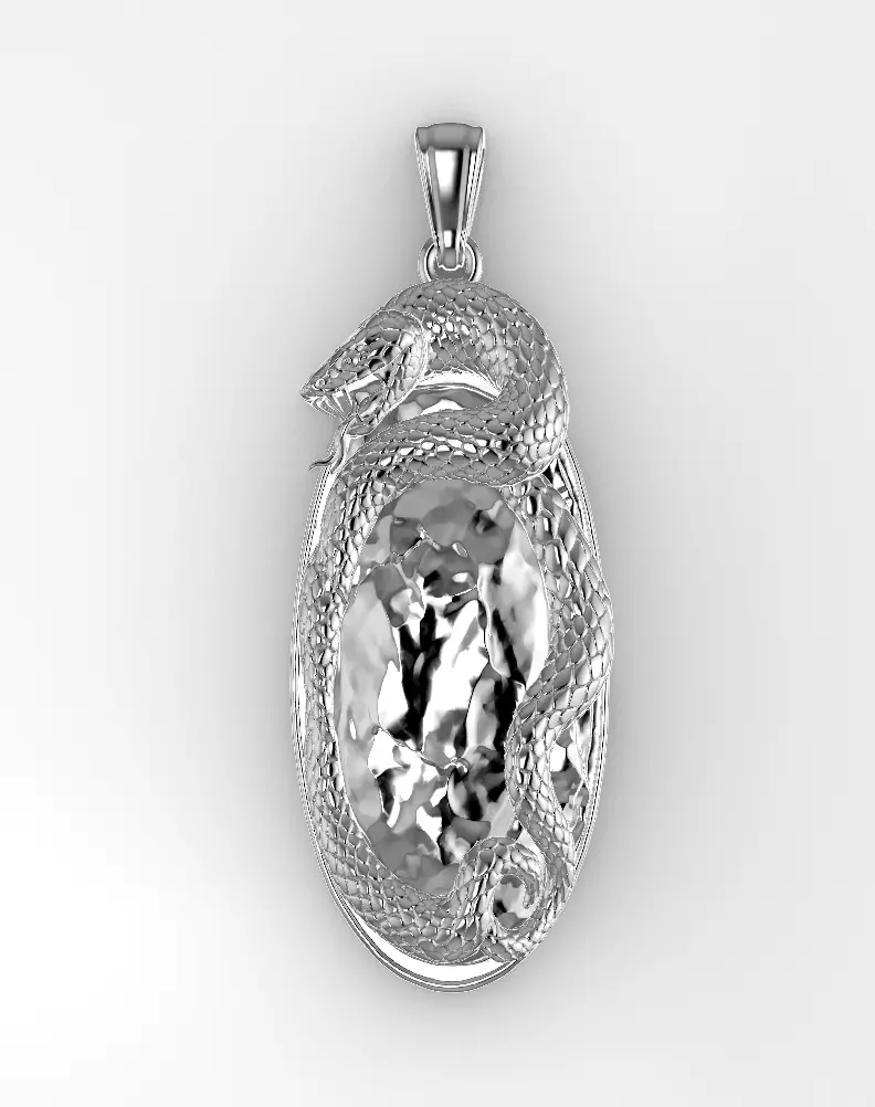 Snake and Stone Pendant Free 3D print model