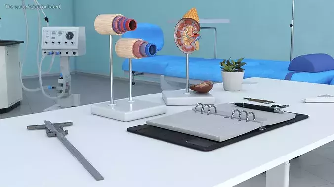 Vascular Doctors Workstation 3D model 4
