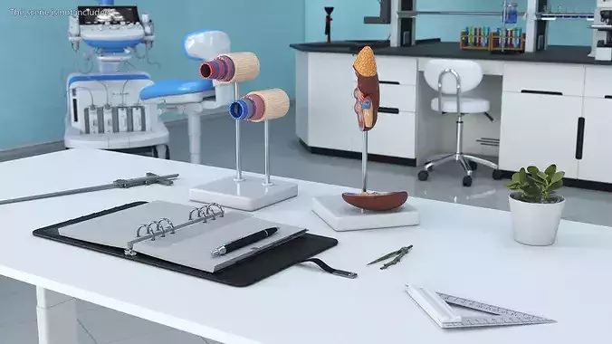 Vascular Doctors Workstation 3D model 3