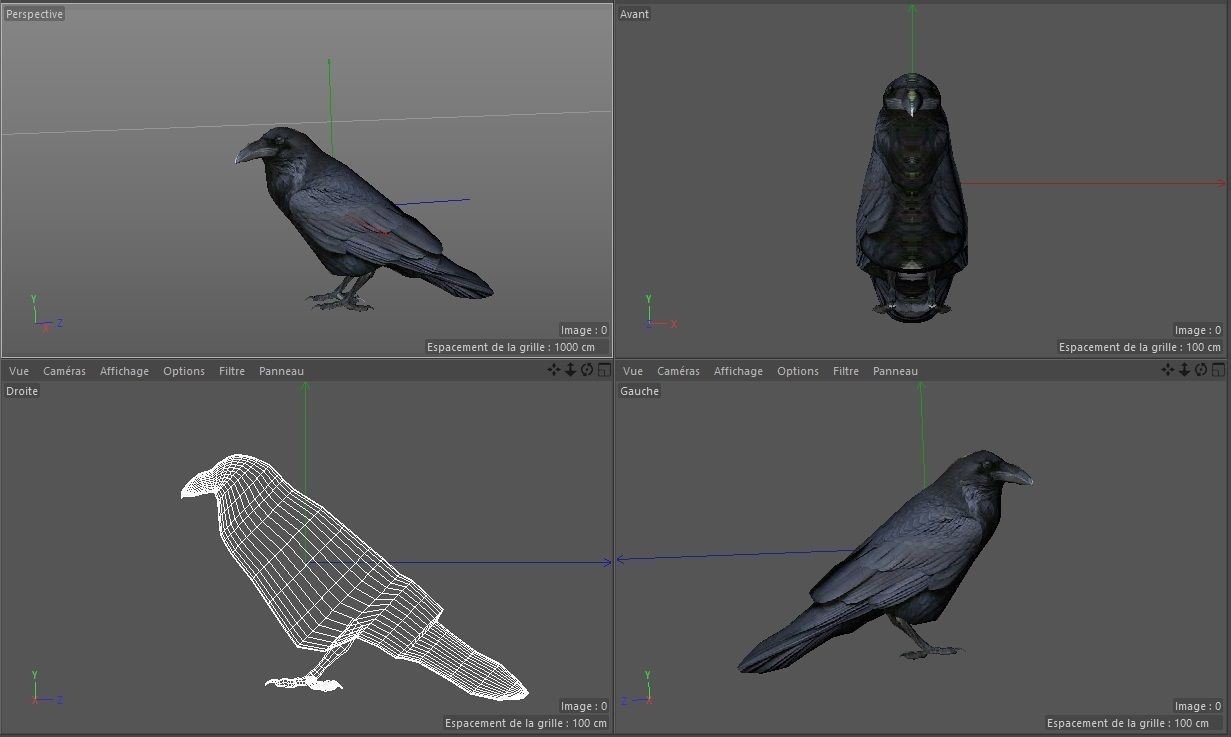 Crow Corbeau Free 3D model_2